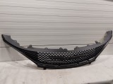 Radiator Grille